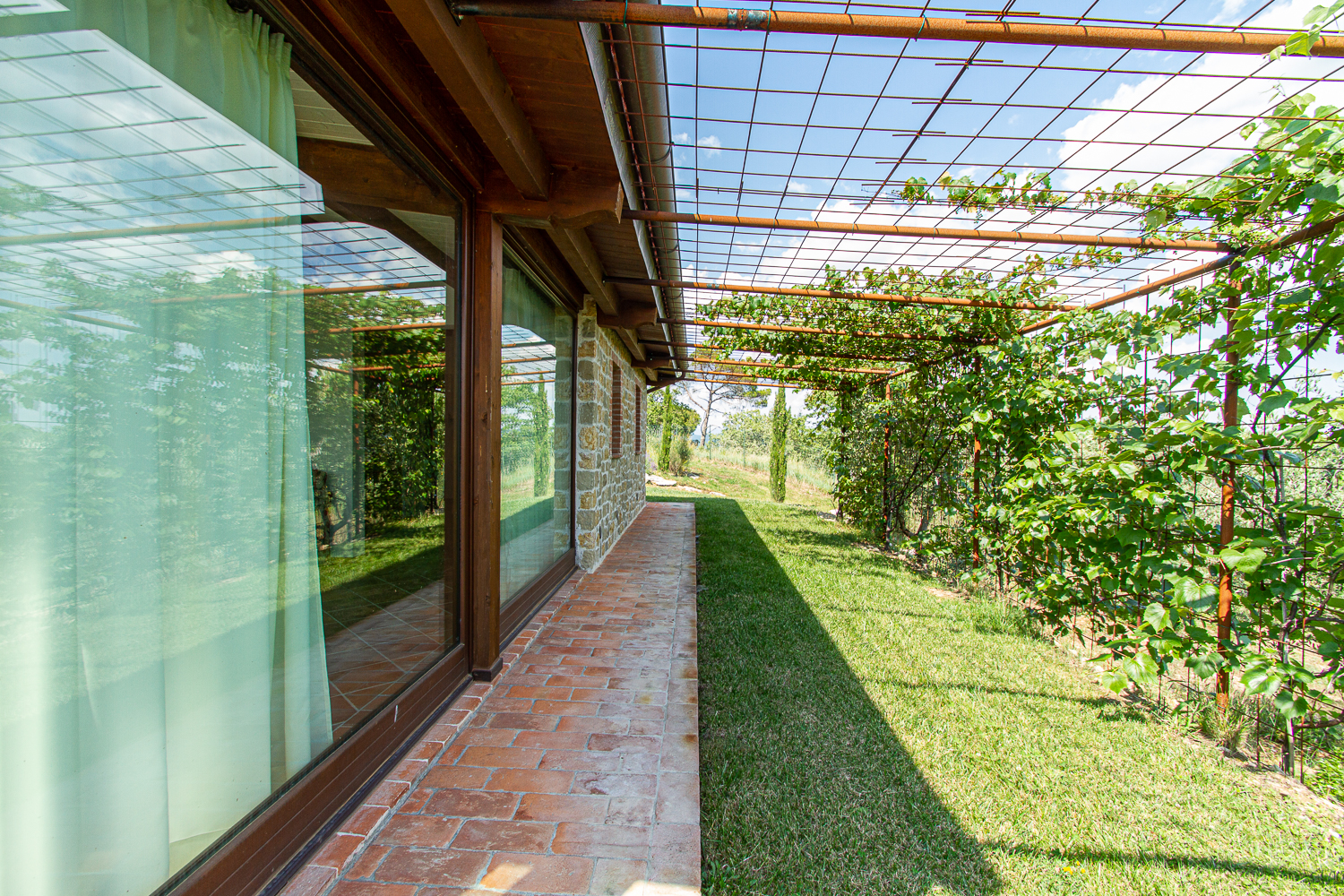 Pergola con vite e camminamento in cotto